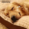 thumbnail image 4 of Tiny House Puppy Dog Bed Accessories Indoor Supplies Camping Kennels Dog Bed Cat Shop Furniture Mascotas Pet Products MR50GS ShopWise Round, 4 of 10