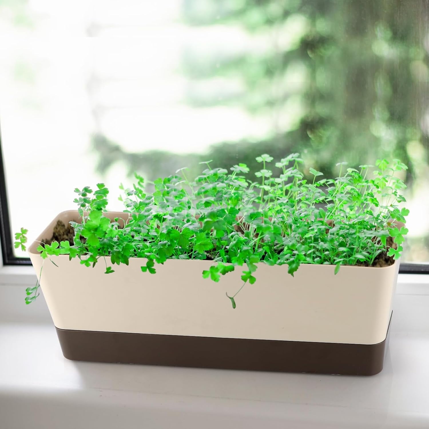 3 Pack 12 inch Plastic Window Planter Box,Bexikou Vegetable Planter Box with Trays,Rectangular Flower Pots for Windowsill, Garden, Balcony, Patio