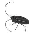 thumbnail image 1 of LYUMO Solar Powered Insect Toys Simulation Fake Roach Toys Hallowmas Cockroach Decoration Props,Cockroaches Prank Props,Simulation Cockroaches Model, 1 of 9