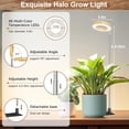 thumbnail image 3 of Grow Light Aokrean 48 LED de espectro completo para plantas de interior, 3 of 7