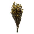 thumbnail image 1 of Vickerman H1PHY725-2 12-22 Pouces AspGold Phylica avec 5-6 oz Bundle, 1 of 1