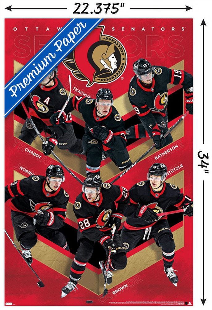 NHL Ottawa Senators - Team 21 Wall Poster, 22.375" x 34"