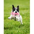 thumbnail image 3 of Yirtree Pet Puppy Chew Squeaker Squeaky Plush Sound Pig Elephant Duck for Dog Sound Toys-Pack of 3, 3 of 7