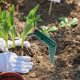 thumbnail image 1 of SHOWERORO 2Ud Herramienta Para Plantar Con Mango Ergonómico Azul Para Jardín Y, 1 of 8