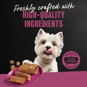 Cesar Wet Dog Food Steak Lovers Variety Pack, Real Meat Wet Food for Dogs, 36 Count