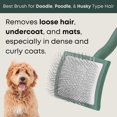 thumbnail image 2 of Slicker Brush Freshly Bailey Doodle para Goldendoodle, caniche, 2 of 7
