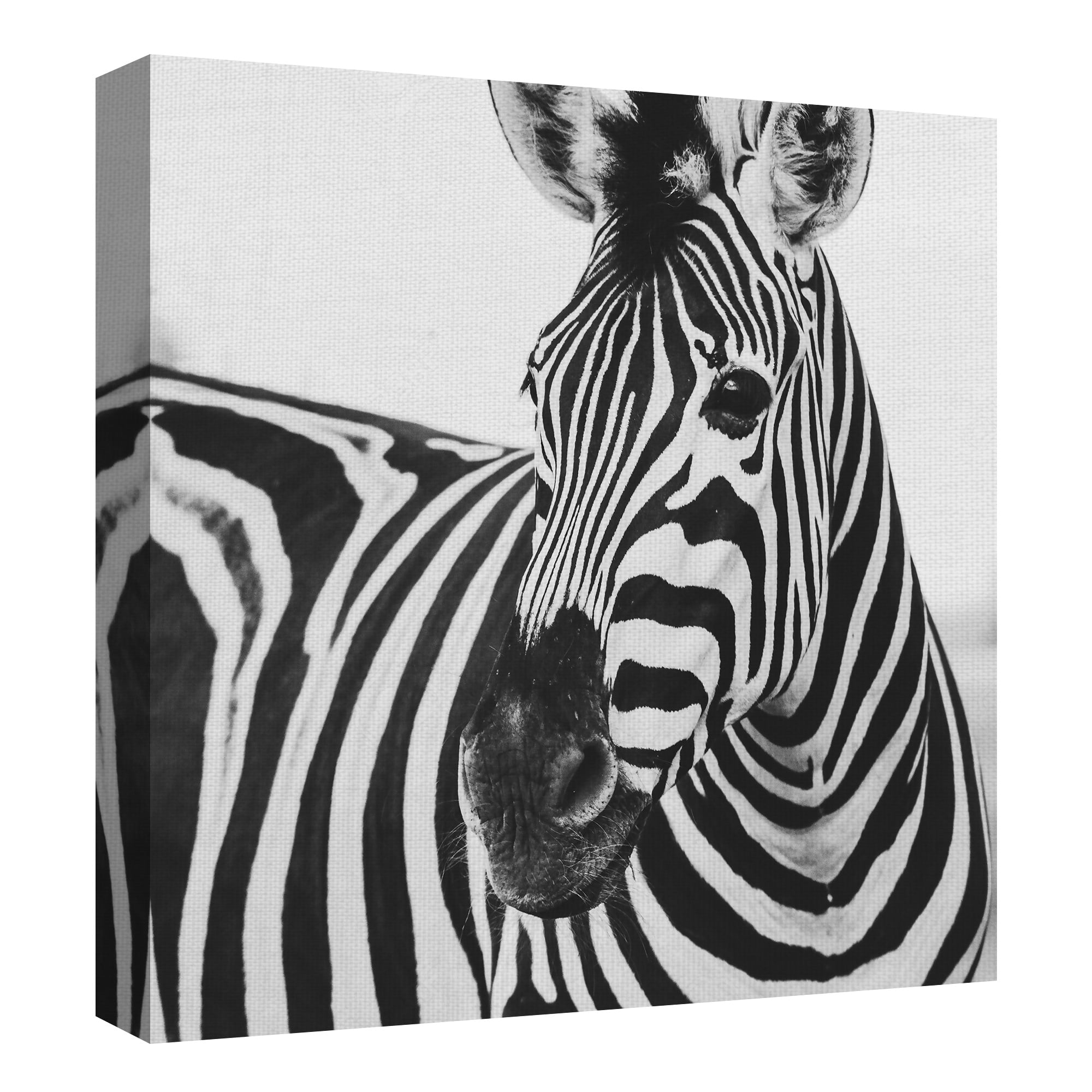 Masterpiece Art Gallery Zebra Close Up by Frida Bredesen Canvas Photo Art Print 30" x 30"