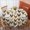 Rooster And Name, variant on Rooster and Name Beige Pattern Round Tablecloth 60"x60", Wrinkle Resistant Wipeable Table Cover for Kitchen Dining Room Picnic Patio and Party