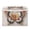Gorgeous Colors Butterfly, variant on Large Fliplid Foldable Storage Bin Boxes Cubes Baskets with 2 Handles for Clothes Books 16.5x12.6x11.8 Inch Oil Painting Of Giraffe