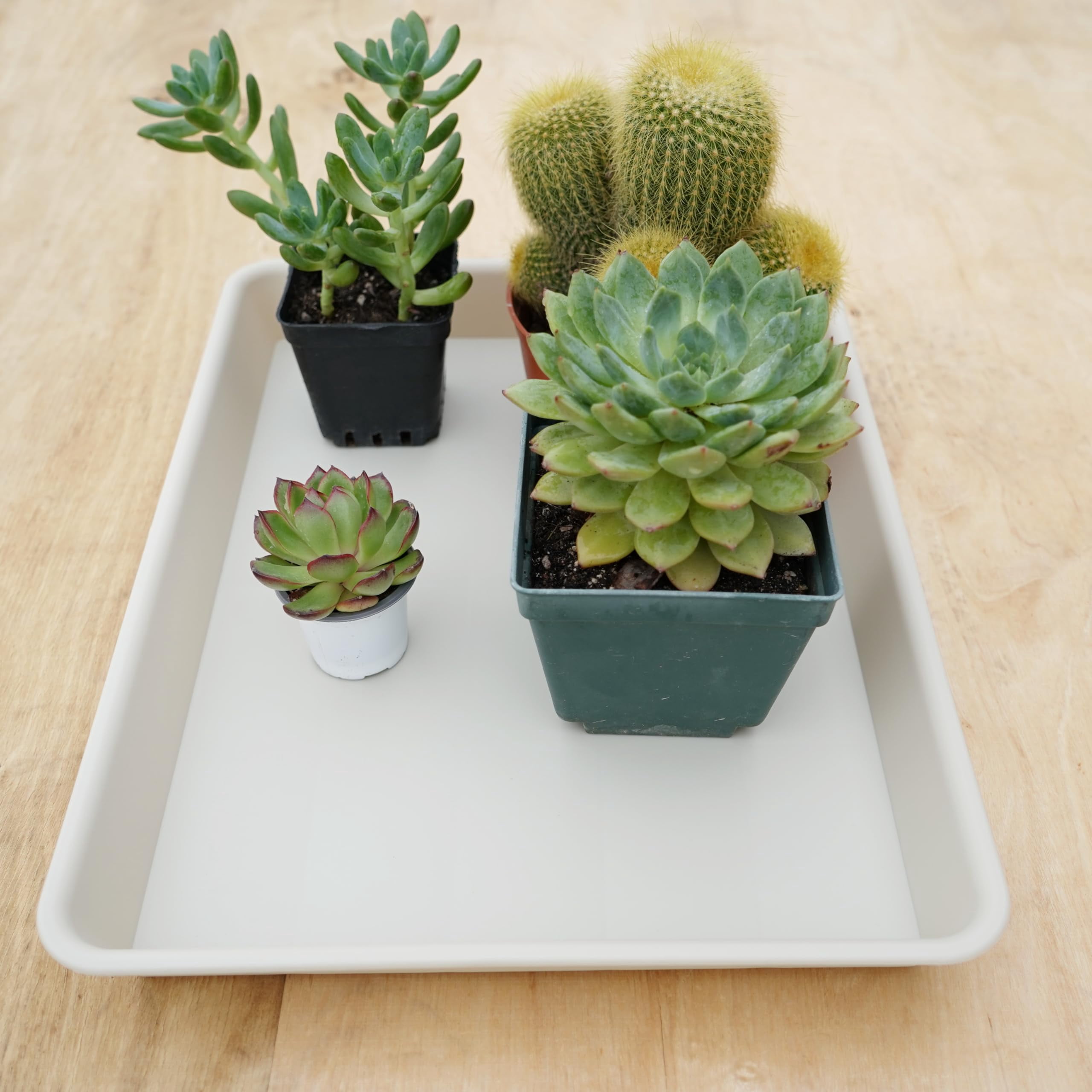 Plant Saucer Growing Tray Set 2-Pack 11x9 Inch Heavy Duty Plastic Seed Starter Trays with Drainage for Indoor Outdoor Pots Gardening Supplies