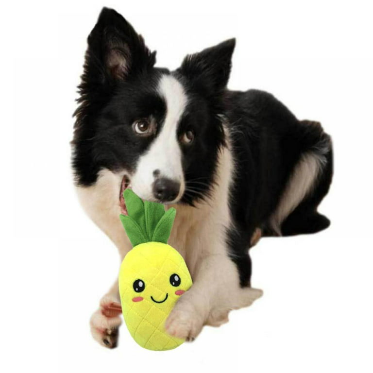 Dog Chew Toy Squeaky Plush