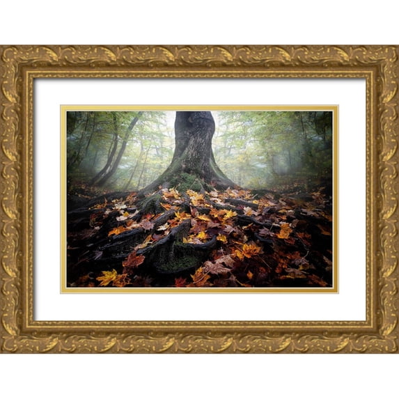 Chen, Cicy 18x13 Gold Ornate Wood Framed with Double Matting Museum Art Print Titled - Autumn
