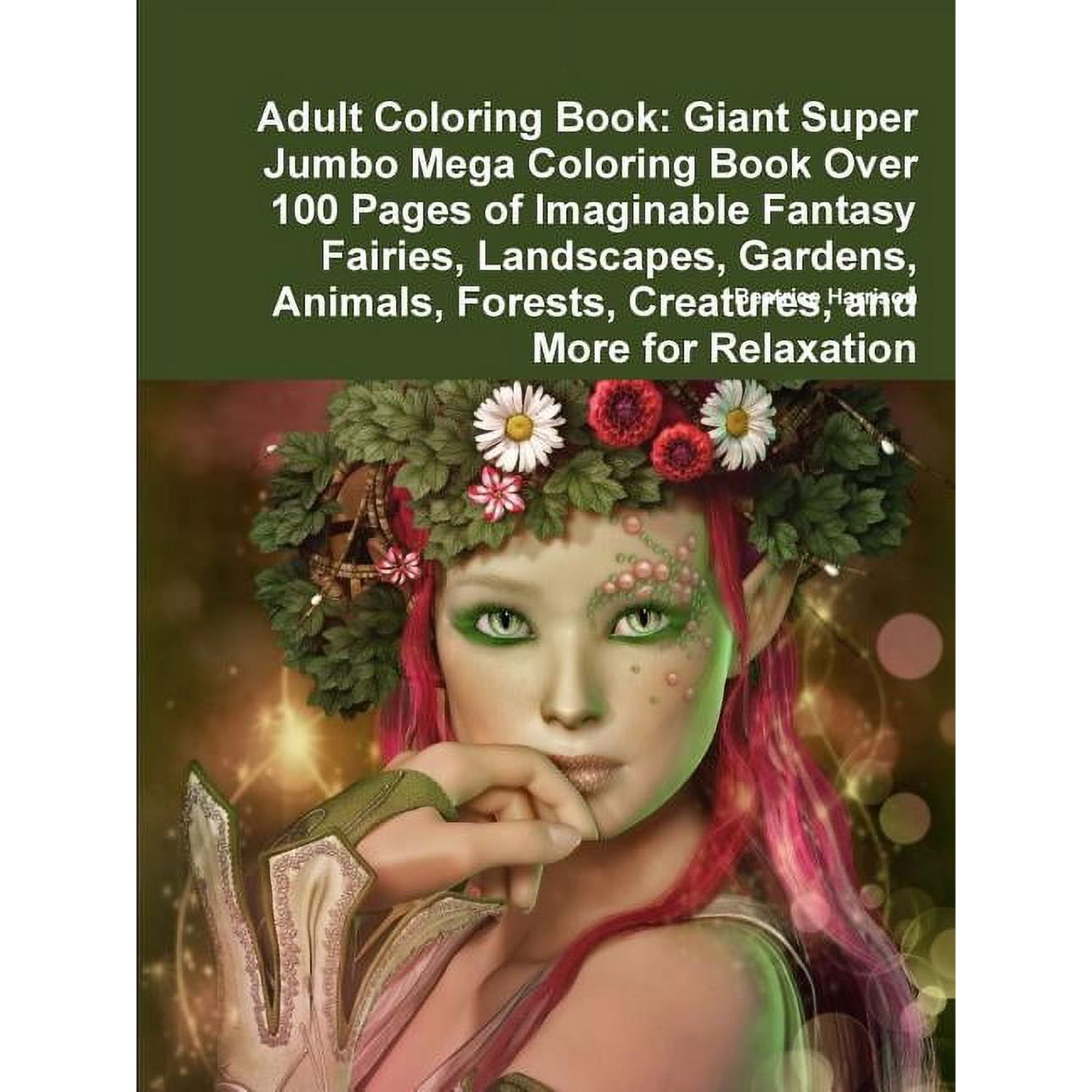 Adult Coloring Book: Giant Super Jumbo Mega Coloring Book 1 (Paperback)