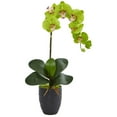 thumbnail image 3 of Nearly Natural Phalaenopsis Orchid Artificial Arrangement in Black Vase, 3 of 7