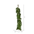 thumbnail image 7 of Vickerman 5' Artificial Green Magnolia Leaf Garland., 7 of 7