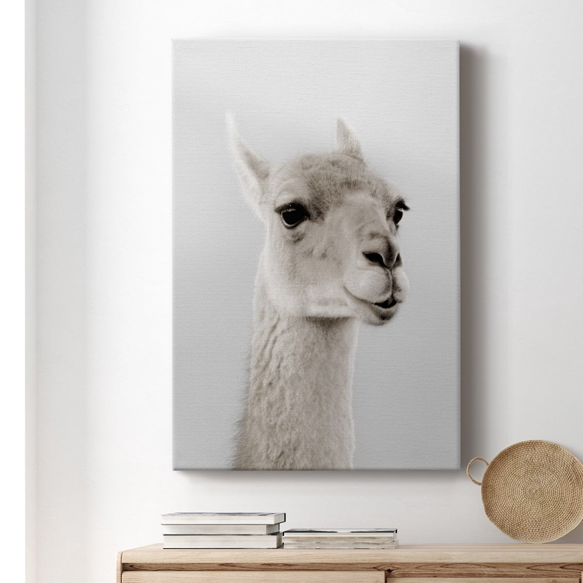 Soft Llama Premium Gallery Wrapped Canvas - Ready to Hang