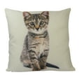 thumbnail image 6 of Pet Pillow | Custom Pillow | Throw Pillow | Pillows | Custom Dog Gifts | Custom Gift | Custom Cat Pillow | Custom | Home Decor | Embroidery, 6 of 8