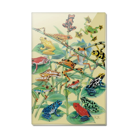 Tropical Rainforest Frogs Froggies Dart Rectangle Acrylic Fridge Refrigerator Magnet