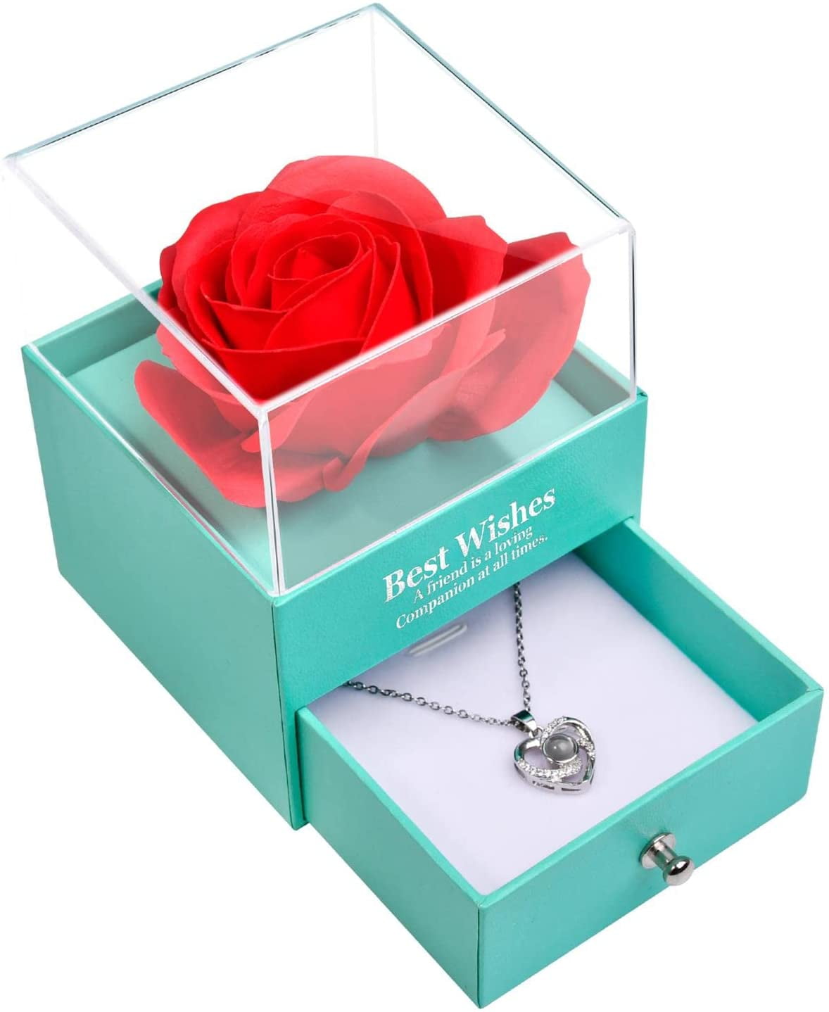 Preserved Real Rose with I Love You Necklace in 100 Languages