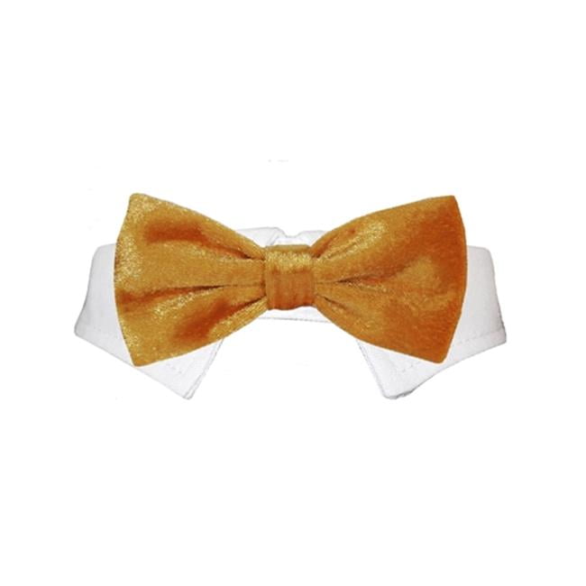 Pooch Outfitters PVBG-XS Valentino Bow Tie, Gold - Extra Small