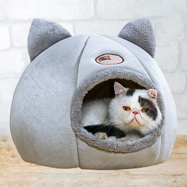 Walmart cat clearance head