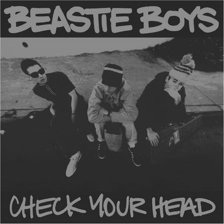 Beastie Boys – Check Your Head LP box set