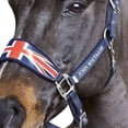 thumbnail image 3 of Whitaker Union Jack Padded Horse Halter, 3 of 4