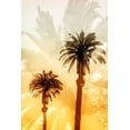 thumbnail image 2 of Stelfox, Norm 17x24 White Modern Wood Framed Museum Art Print Titled - Palm Dreams, 2 of 4