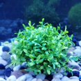 thumbnail image 1 of Vivid Shape Fish Tank Artificial Water Plant, Artificial Water Plant, Plastic Safe For Fish Tank, 1 of 8