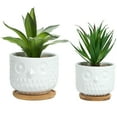 thumbnail image 5 of K-Cliffs Owl Succulent Planter, White  Planter Pots with Drainage Hole and Bamboo Saucer, Set of 2, 5 of 5