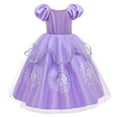 thumbnail image 3 of Girls Princess Sofia Fancy Dress Halloween Christmas Birthday Party Ball Gown 3-10T, 3 of 7