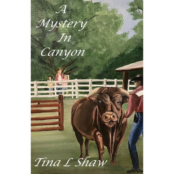 A Mystery In Canyon, (Paperback)