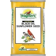 Wagner's 76026 Four Season Black Oil Sunflower Seed Wild Bird Food, 20-Pound Bag