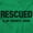 Irish Green, variant on Rescued Favorite Breed Animal Lover Hoodie Sweatshirt Women Men Brisco Brands S