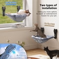 thumbnail image 4 of Percha para Ventana de Gato JUNSPOW Sin Cable que Brilla en la Oscuridad, Capacidad de 18 kg, 4 of 6