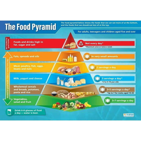 Food Pyramid Science Poster Unframed12x18inch(30x45cm)