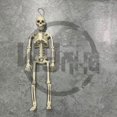 thumbnail image 1 of Esqueleto de Halloween, huesos de animales, simulación Horrible, decoración del hogar, juguetes, decoración de la habitación, adornos, accesorios de terror para el Día de Todos los Santos, fiesta, 1 of 1