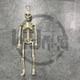thumbnail image 1 of Esqueleto de Halloween, huesos de animales, simulación Horrible, decoración del hogar, juguetes, decoración de la habitación, adornos, accesorios de terror para el Día de Todos los Santos, fiesta, 1 of 1