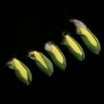 thumbnail image 6 of Dollhouse Miniature Corn Vegetable Food Accessories 1/12 Scale 5pcs, 6 of 6