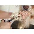 thumbnail image 2 of Peluquería profesional para perros y gatos Straight Shears Andis, 2 of 3