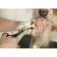 thumbnail image 2 of Peluquería profesional para perros y gatos Straight Shears Andis, 2 of 3
