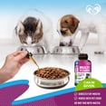 thumbnail image 6 of Cat & Dog Multivitamin Liquid | 15-in-1 Supplement with Cranberry & Glucosamine | Urinary, Joint, Skin & Coat Support | 60 ml, 6 of 8