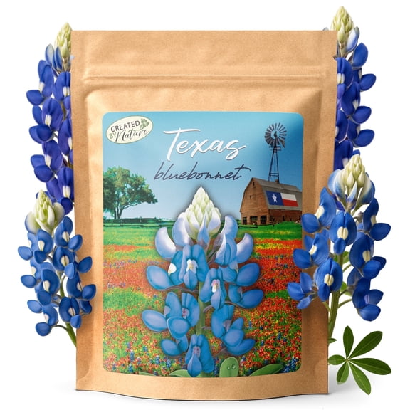 Texas Bluebonnet Seeds, 750  Wildflower Seeds, Texas State Flower - Created By Nature