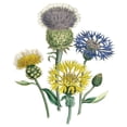thumbnail image 3 of CafePress - Vintage Flowers Mugs - 15 oz Ceramic Large White Novelty Mug, 3 of 4