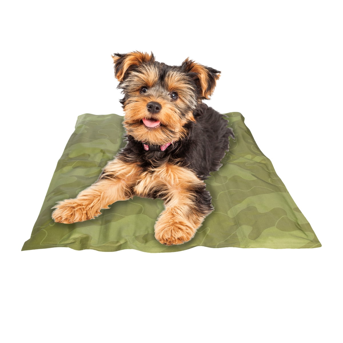 outdoor pet mat