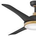 thumbnail image 6 of Hinkley Lighting - Alba - 3 Blade Ceiling Fan with Light Kit-14.25 Inches Tall, 6 of 13
