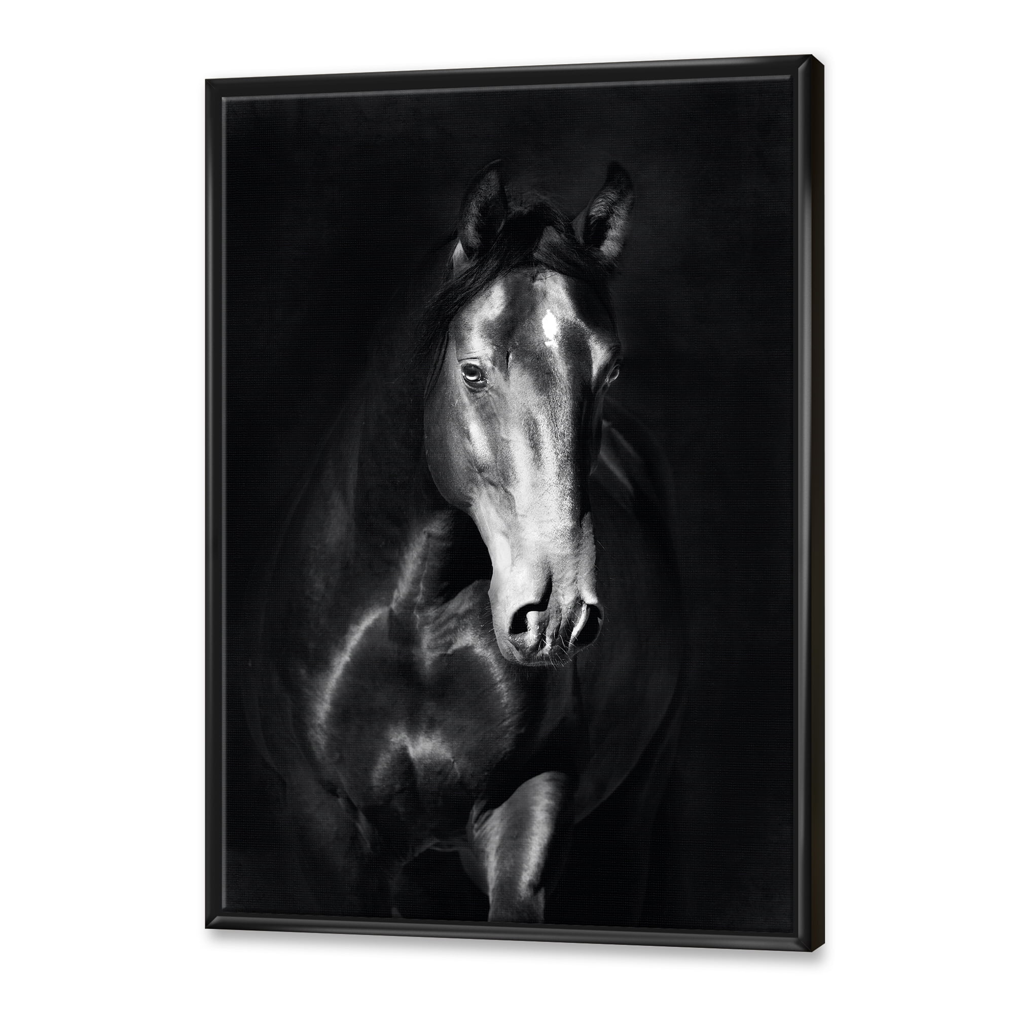 Close Up Portrait Of Black Kladruby Horse 30 in x 40 in Framed Photography Canvas Art Print, by Designart