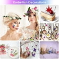 thumbnail image 5 of 144pcs Natural Dried Pressed Flowers For Resin,for Candle,epoxy Resin, 5 of 5