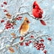 thumbnail image 1 of 5D DIY Con Taladro Cardenal en La Rama 30x30cm, 1 of 9