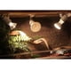 thumbnail image 5 of Portalámparas de calor para reptiles, E27, 400 W, 1,8 mm, cable giratorio de cerámica con interruptor y pinza para mascotas, lagartos, tortugas y reptiles, 5 of 5